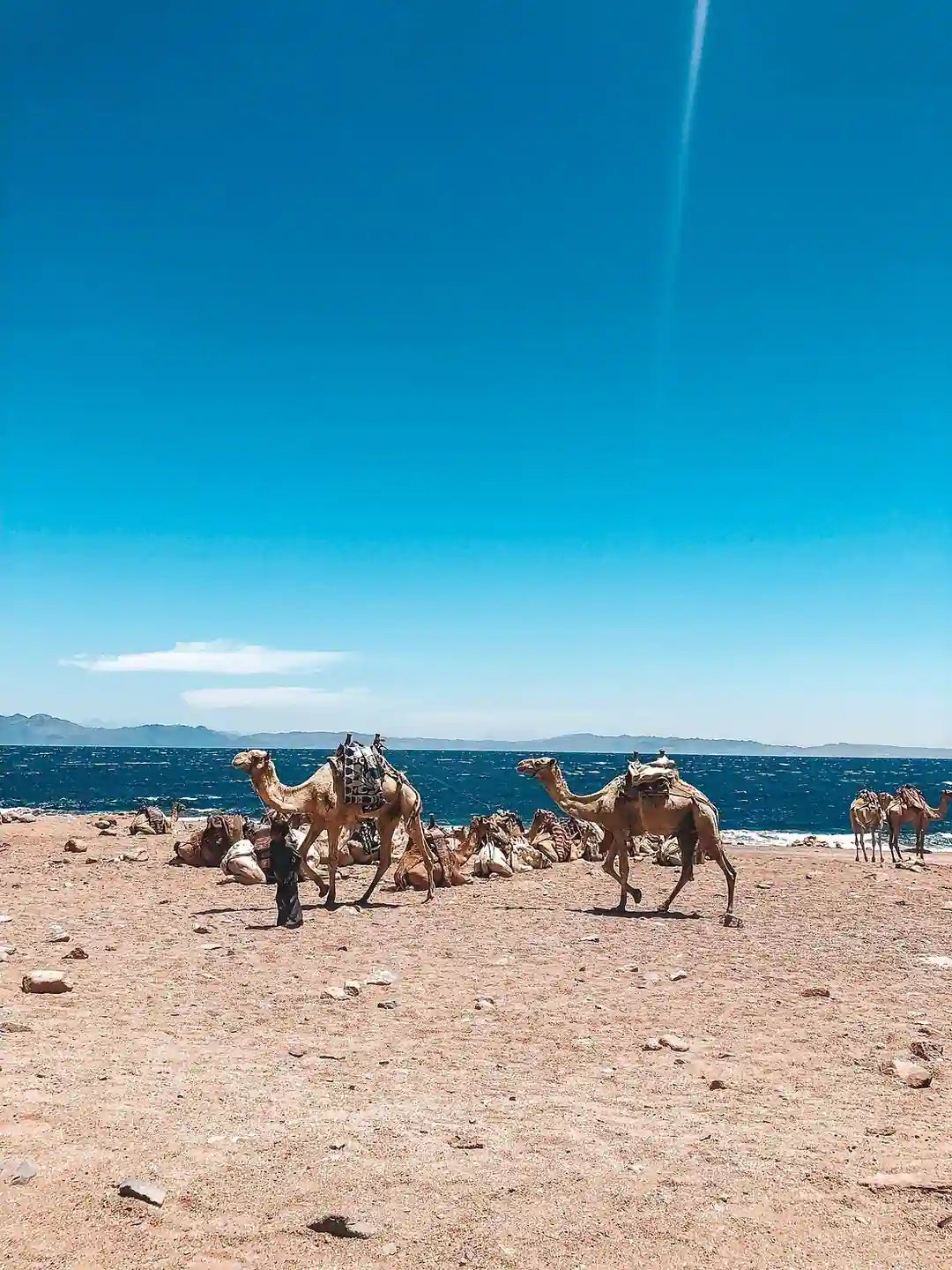 From Sharm El Sheikh: Blue Hole, Colored Canyon and Dahab Guided Tour