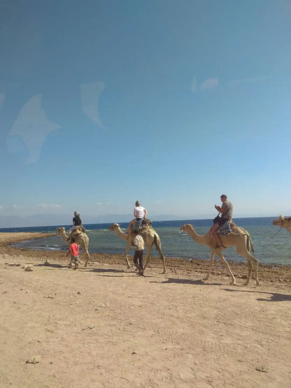 From Sharm El Sheikh: Blue Hole, Colored Canyon and Dahab Guided Tour