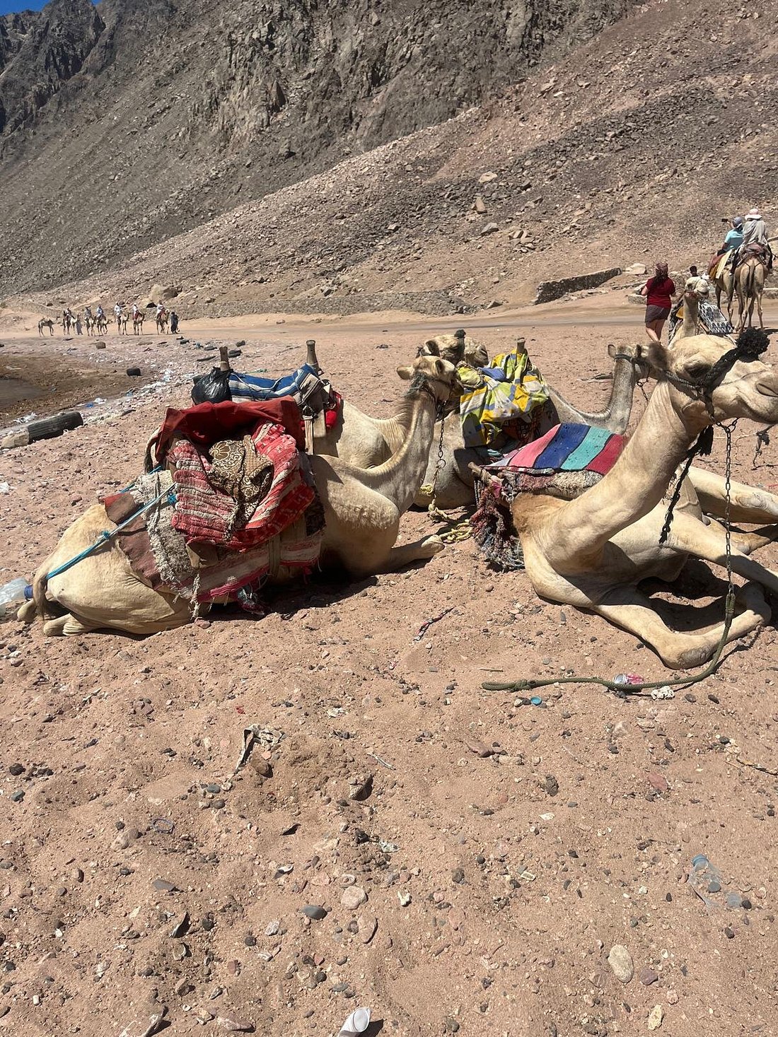 From Sharm El Sheikh: Colored Salama Canyon and Snorkeling at Dahab