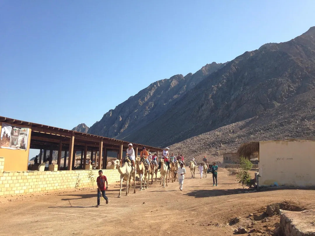 From Sharm El Sheikh: Colored Salama Canyon and Snorkeling at Dahab