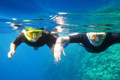 Dari Sharm El Sheikh: Tur Sehari ke Dahab ke 3 Pools dan Canyon dengan Naik Unta