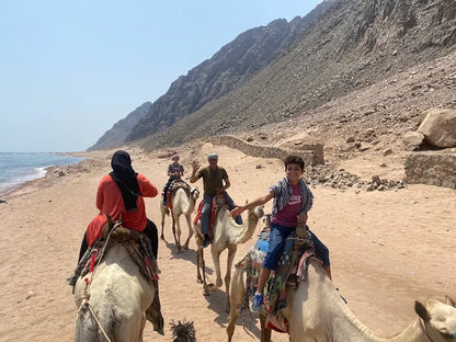 Dari Sharm El Sheikh: Tur Sehari ke Dahab ke 3 Pools dan Canyon dengan Naik Unta