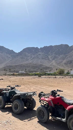 Dari Sharm El Sheikh: Tur Sehari ke Dahab ke 3 Pools dan Canyon dengan Naik Unta