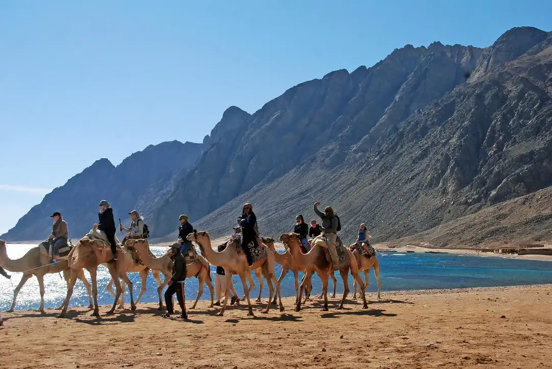 Dari Sharm El Sheikh: Tur Sehari ke Dahab ke 3 Pools dan Canyon dengan Naik Unta