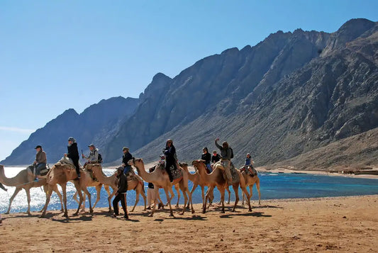 From Sharm El Sheikh: Dahab Day Trip to 3 Pools and Canyon with Camel Ride