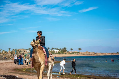 Dari Sharm El Sheikh: Tur Sehari ke Dahab ke 3 Pools dan Canyon dengan Naik Unta