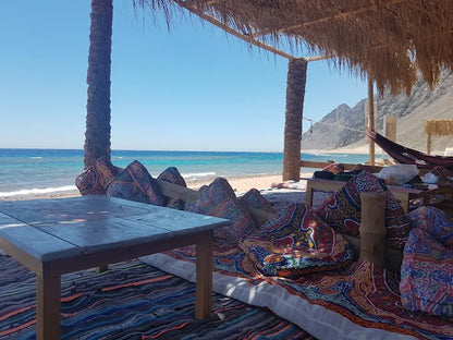 Dari Sharm El Sheikh: Tur Sehari ke Dahab ke 3 Pools dan Canyon dengan Naik Unta