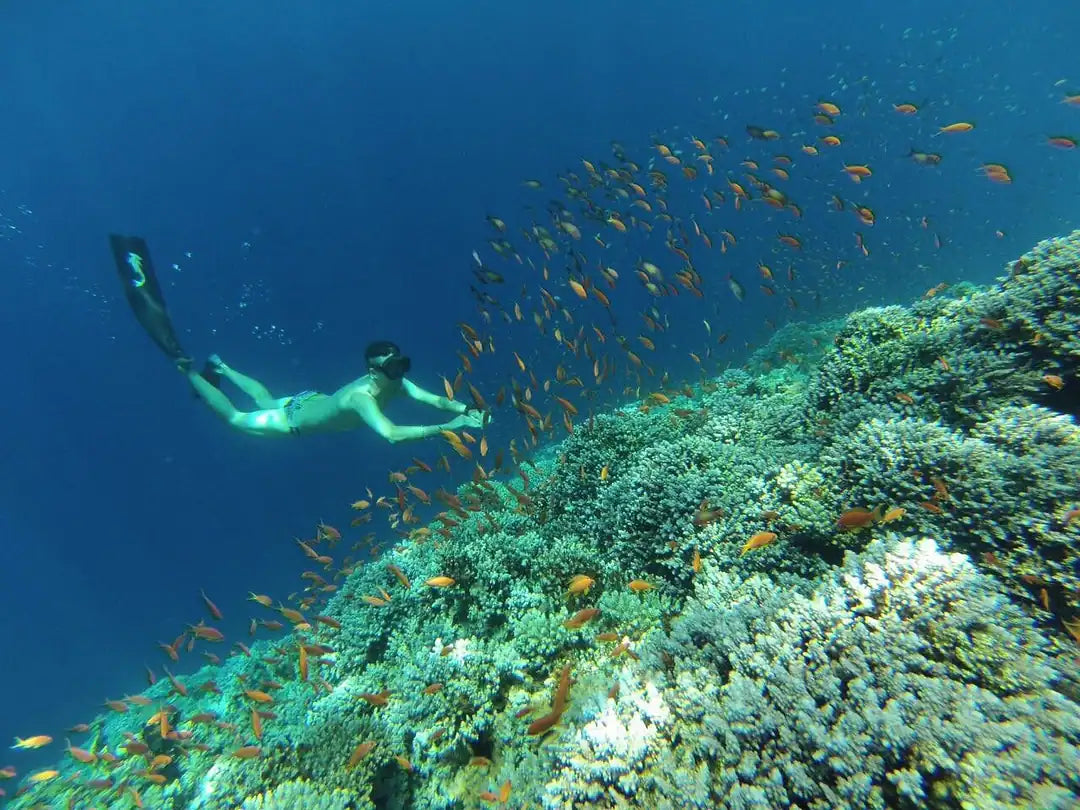 From Sharm El Sheikh: Day Trip to Dahab Colored Canyon and Blue Hole with Snorkeling