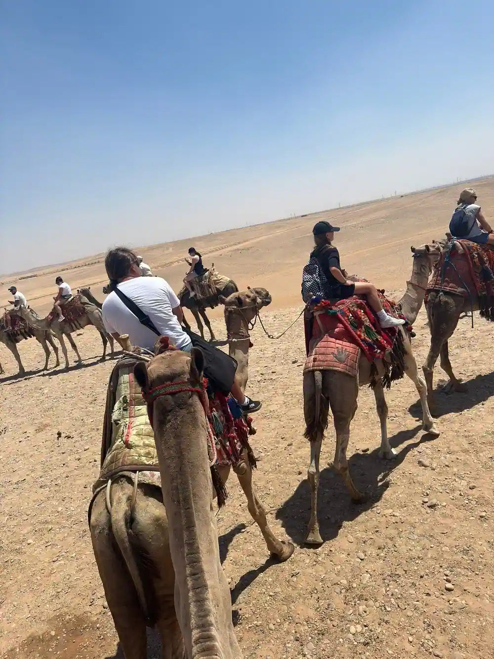 From Sharm El Sheikh: Całodniowa przygoda w Kairze autobusem
