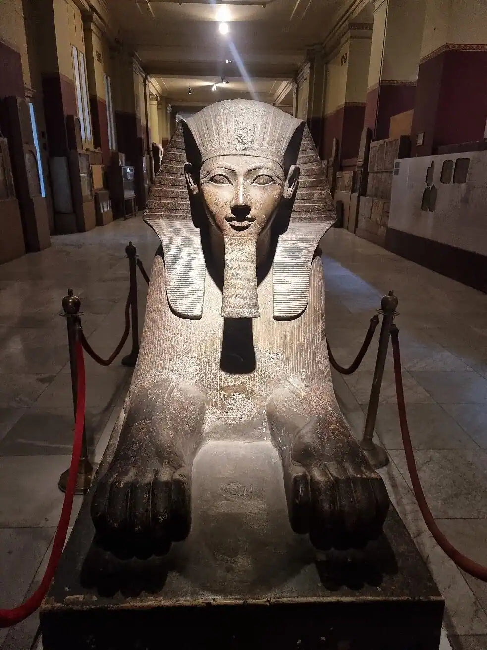 From Sharm El Sheikh: Cairo Day Trip to the Pyramids and Grand Egyptian Museum by Flight