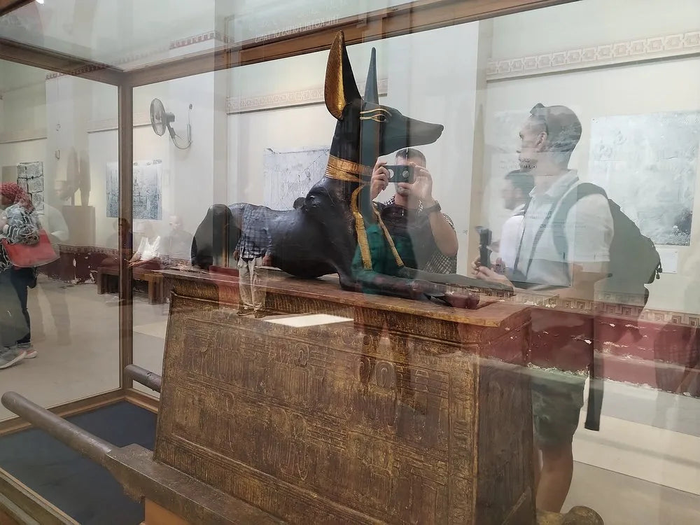 From Sharm El Sheikh: Cairo Day Trip to the Pyramids and Grand Egyptian Museum by Flight