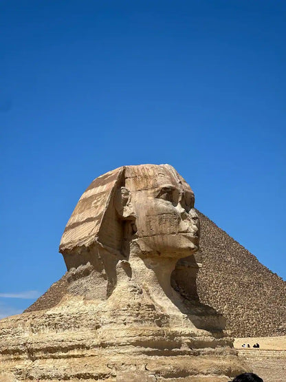 From Sharm El Sheikh: Cairo Day Trip to the Pyramids and Grand Egyptian Museum by Flight