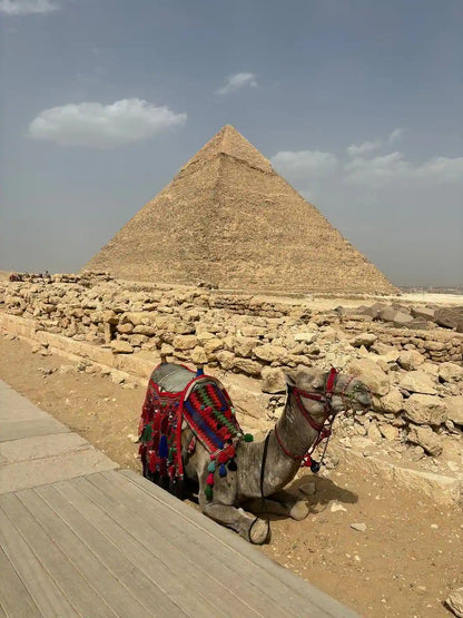 From Sharm El Sheikh: Small Group Tour to Pyramids of Giza and Egyptian Museum by Van