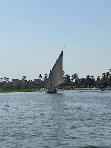 From Sharm El Sheikh: Small Group Tour to Pyramids of Giza and Egyptian Museum by Van