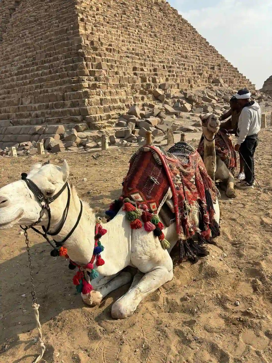 From Sharm El Sheikh: Small Group Tour to Pyramids of Giza and Egyptian Museum by Van