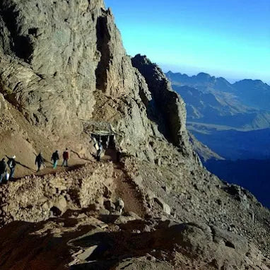 从沙姆出发：摩西山徒步旅行、日出和修道院参观