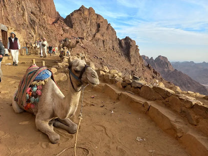 从沙姆出发：摩西山徒步旅行、日出和修道院参观