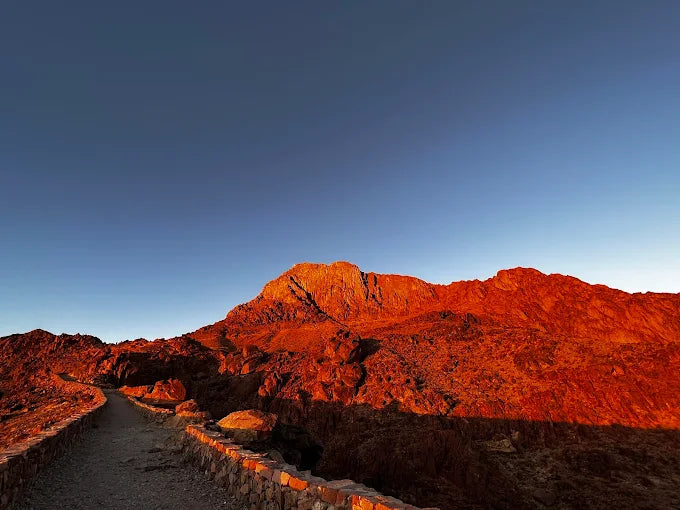 从沙姆出发：摩西山徒步旅行、日出和修道院参观