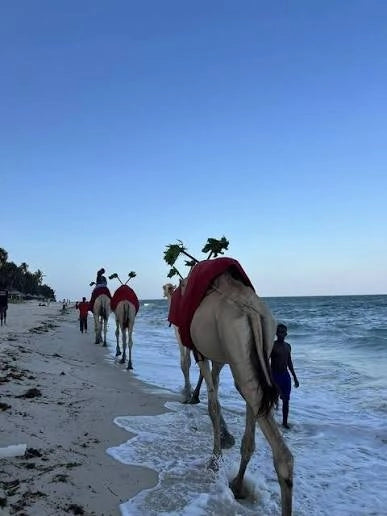 From Tangier: 2-Days Tetouan, Chefchaouen and Asilah Private Tour