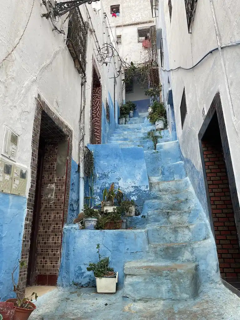 From Tangier: 2-Days Tetouan, Chefchaouen and Asilah Private Tour