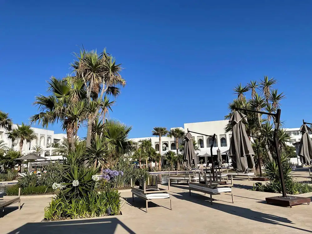 From Tangier: 3-Days Northern Morocco Guided Tour