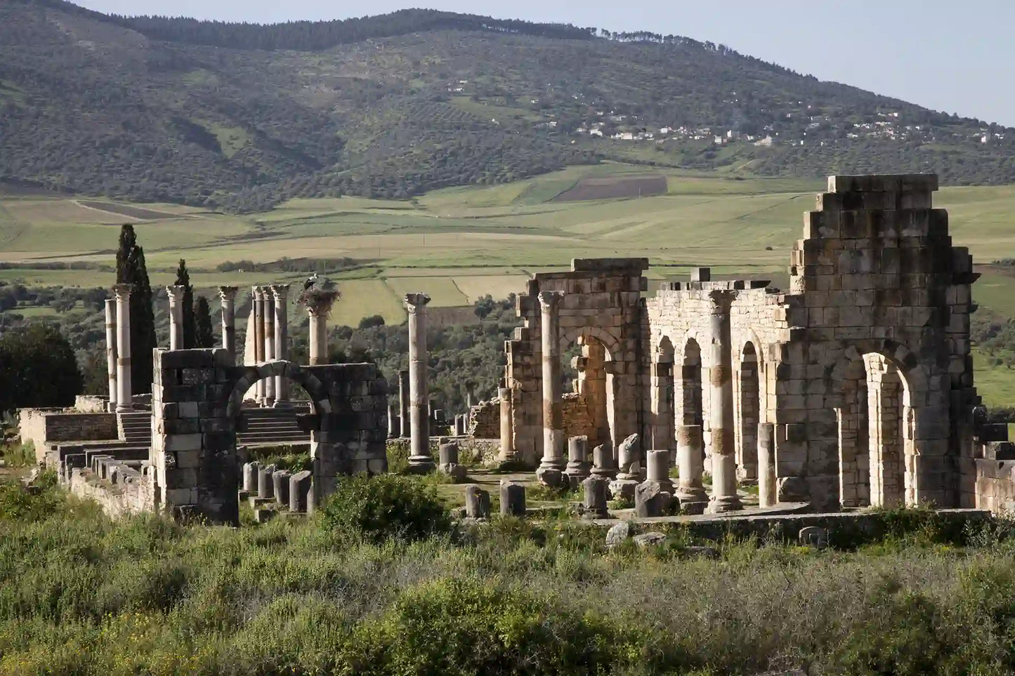 Från Tanger: 3-dagars privat rundtur till Meknes, Fes och Chefchaouen