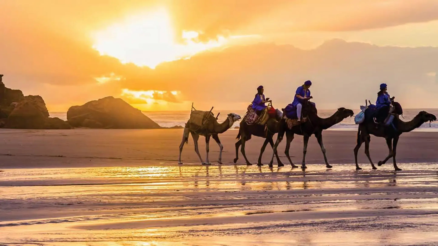 Från Tanger: 3-dagars privat rundtur till Meknes, Fes och Chefchaouen