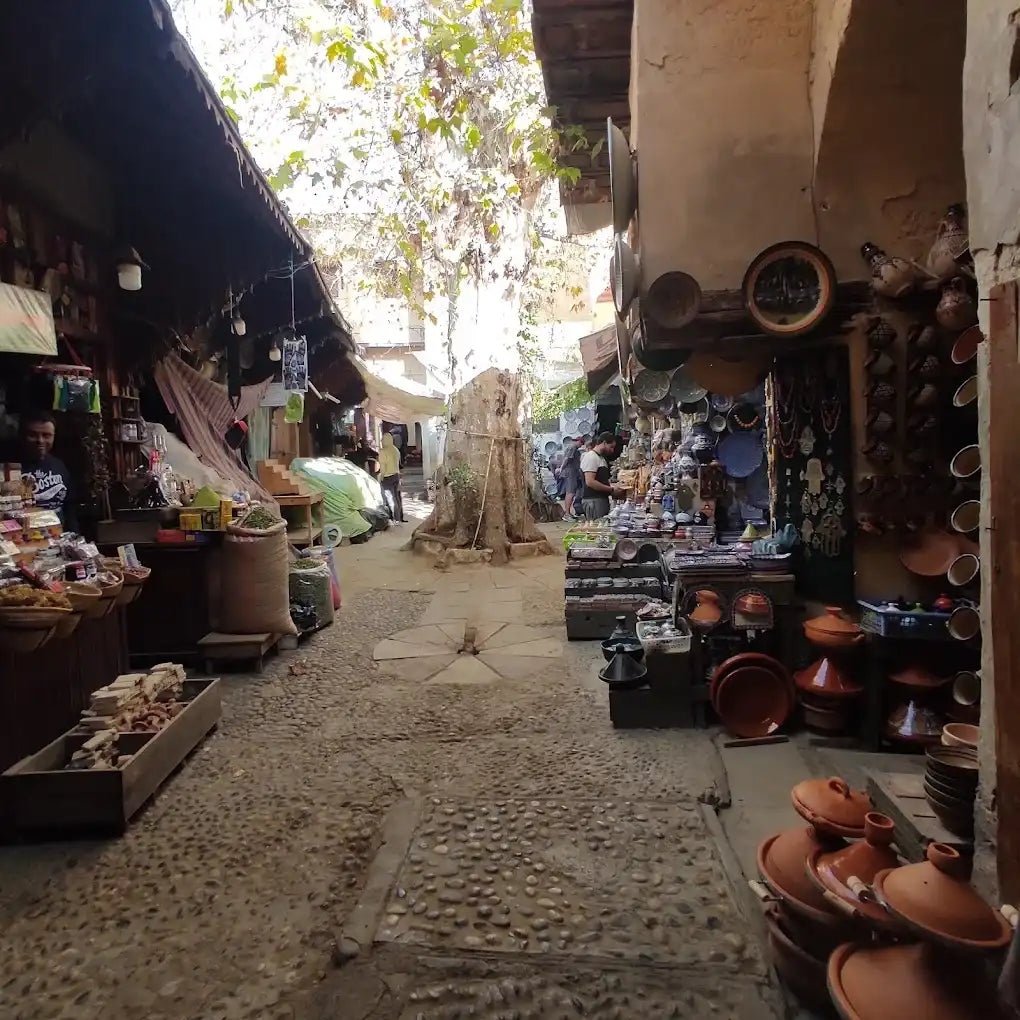 Från Tanger: 3-dagars privat rundtur till Meknes, Fes och Chefchaouen