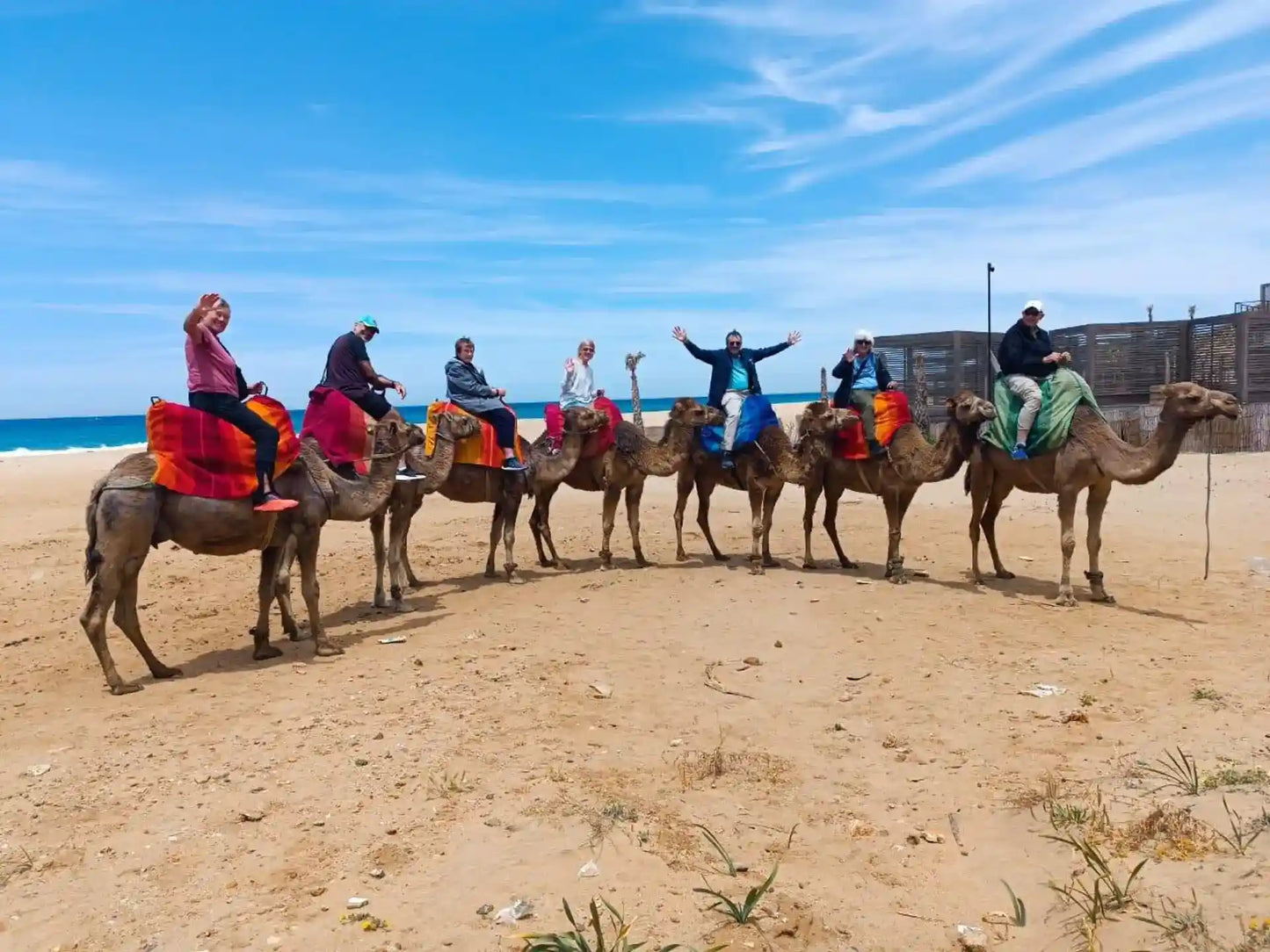 From Tanger: gedeelde stadstour met bezoek aan Asilah en kameelrit