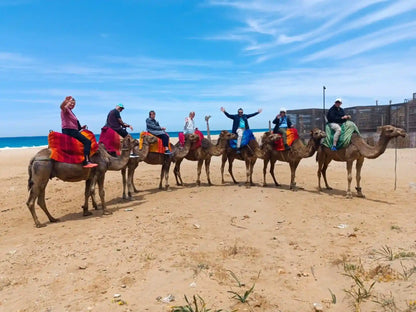 From Tanger: gedeelde stadstour met bezoek aan Asilah en kameelrit