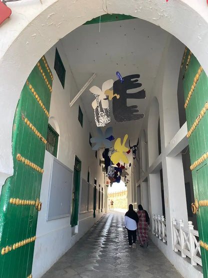 From Tanger: gedeelde stadstour met bezoek aan Asilah en kameelrit