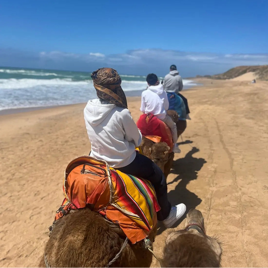 From Tánger: tour compartido por la ciudad con visita a Asilah y paseo en camello