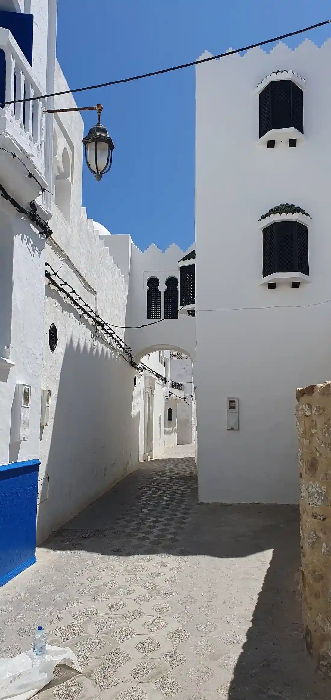From Tanger: gedeelde stadstour met bezoek aan Asilah en kameelrit