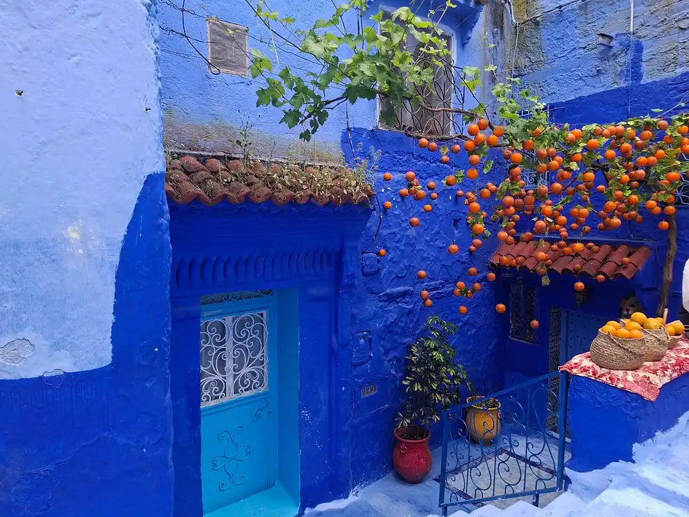 From Tangier: Chefchaouen Blue City Day Trip