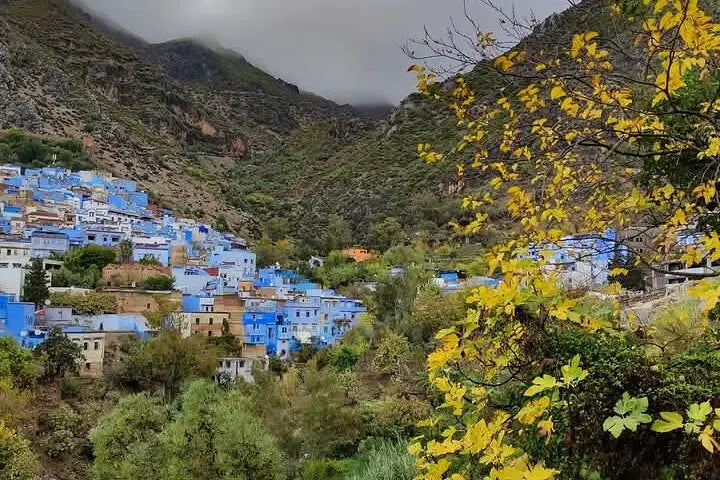 From Tangier: Chefchaouen Blue City Day Trip