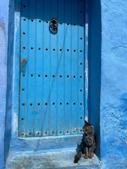 From Tangier: Chefchaouen Blue City Day Trip