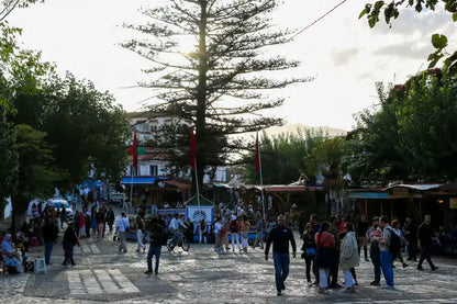 من طنجة: رحلة يومية بصحبة مرشد إلى شفشاون