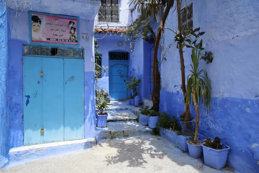 من طنجة: رحلة يومية بصحبة مرشد إلى شفشاون