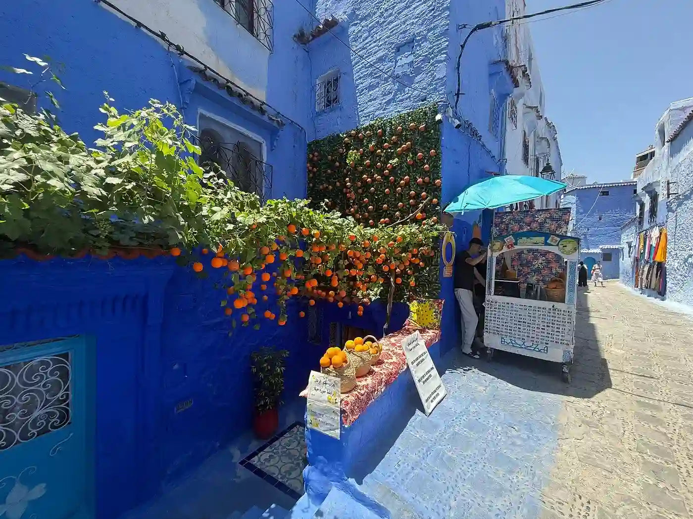 From Tangier: Chefchaouen Private Day Trip