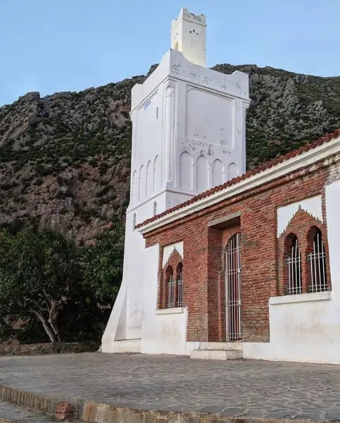 From Tangier: Chefchaouen Private Day Trip