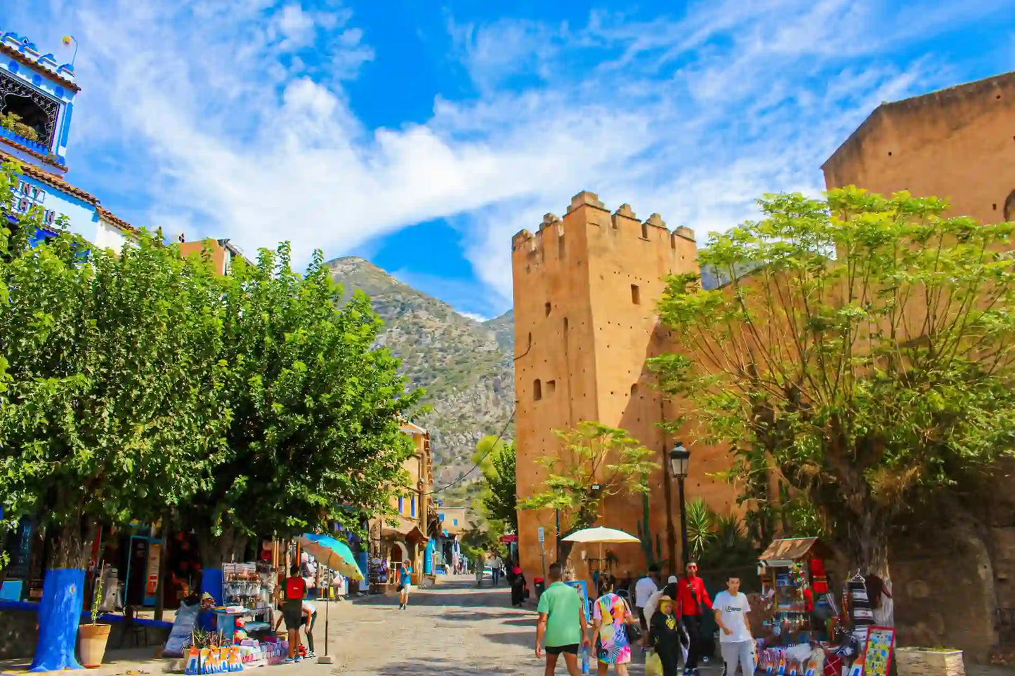 From Tangier: Chefchaouen Private Day Trip