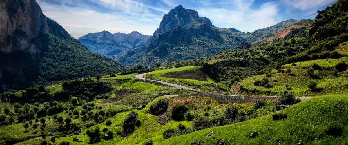 From Tanger: dagtrip naar Chefchaouen en de Akchour-watervallen