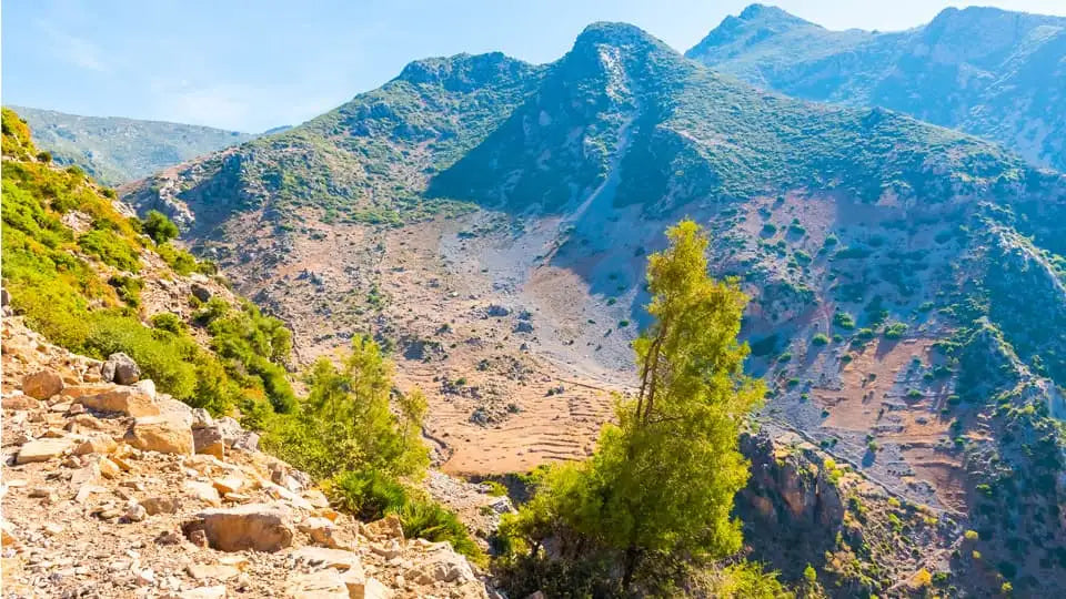 From Tanger: dagtrip naar Chefchaouen en de Akchour-watervallen