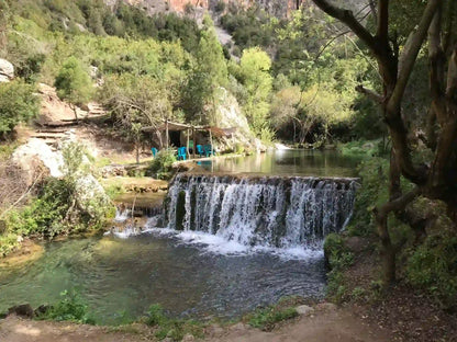 From Tanger: dagtrip naar Chefchaouen en de Akchour-watervallen