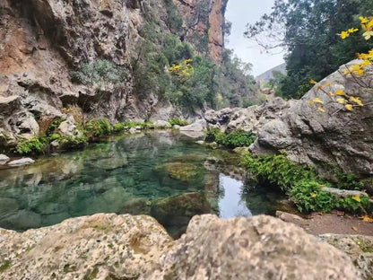 From Tanger: dagtrip naar Chefchaouen en de Akchour-watervallen