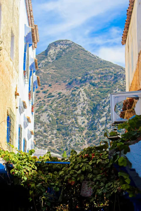 From Tanger : excursion guidée d’une journée à Chefchaouen et Tétouan