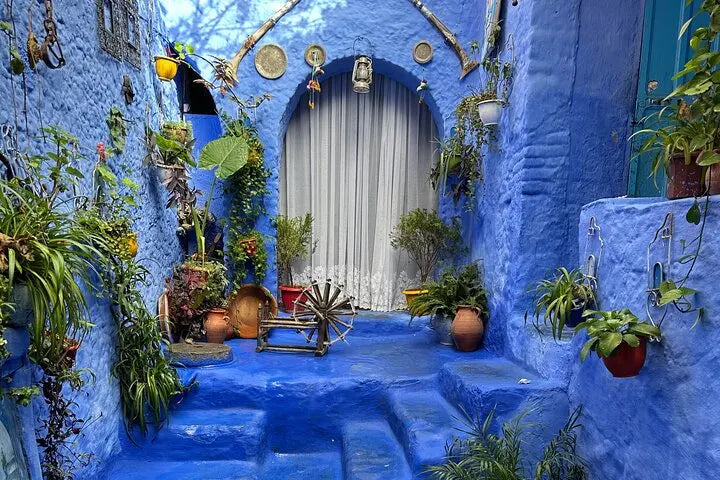 Från Tanger: dagsutflykt till Chefchaouen med traditionell marockansk lunch