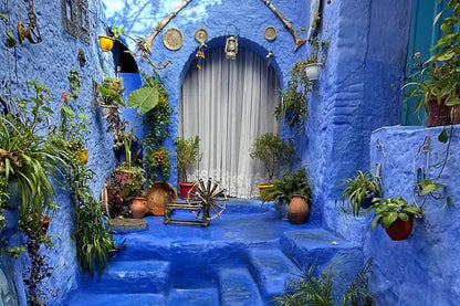 Från Tanger: dagsutflykt till Chefchaouen med traditionell marockansk lunch