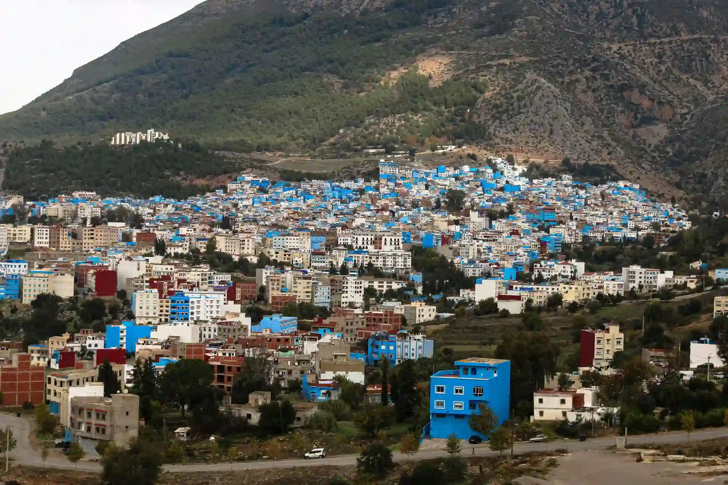 Från Tanger: dagsutflykt till Chefchaouen med traditionell marockansk lunch
