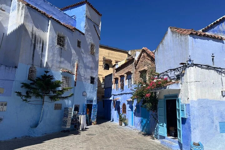 Från Tanger: dagsutflykt till Chefchaouen med traditionell marockansk lunch